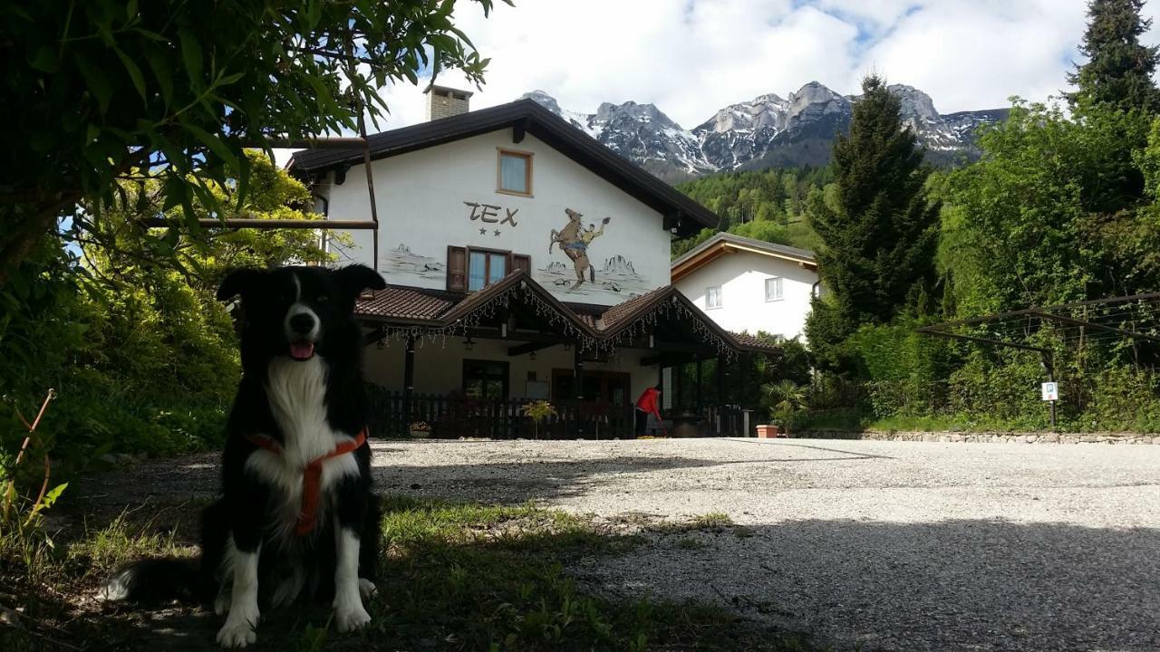 Botton D'Oro Delle Dolomiti Bed and Breakfast Vattaro Eksteriør billede